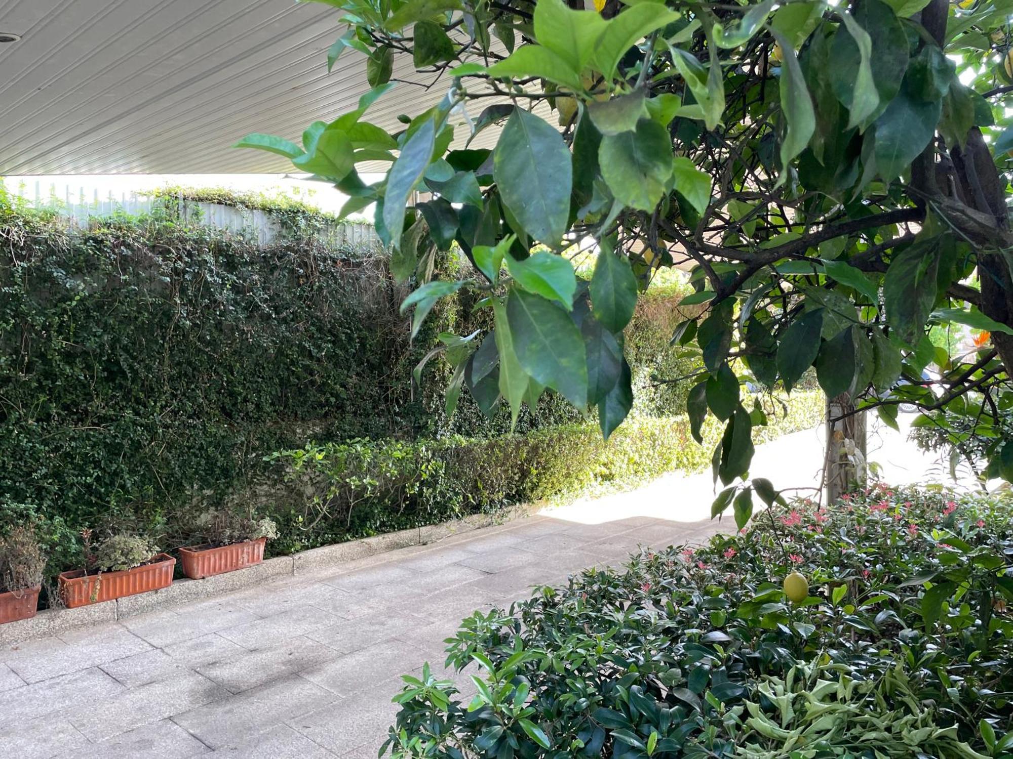 귀마레스 Casa Do Paco 빌라 외부 사진